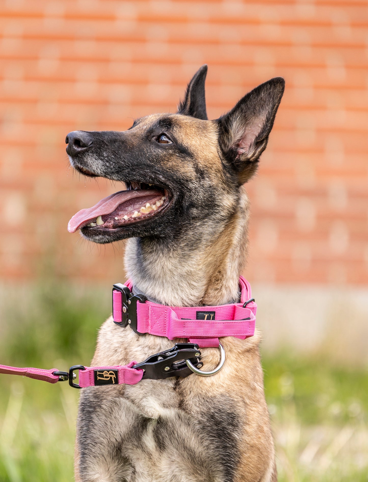 Command halsbånd - Pink