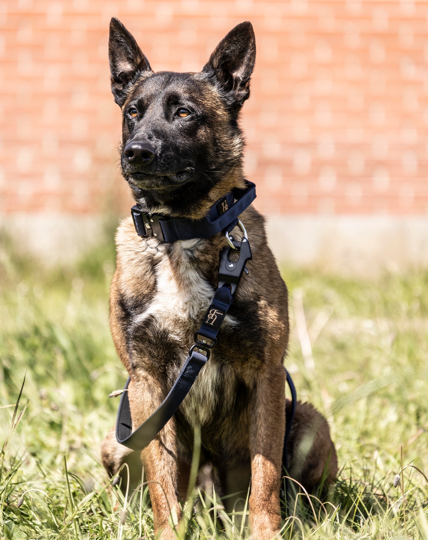 Force line- Mørke blå